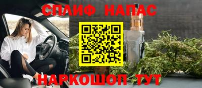 spice Пенза